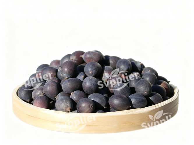 Svpplier Black Lotus Seeds