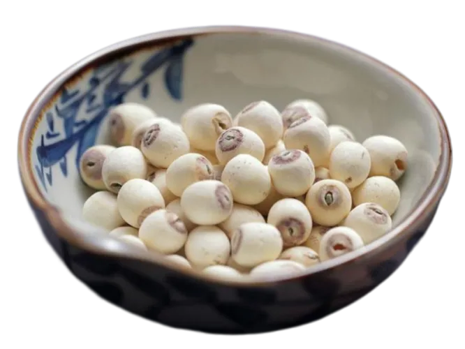 White Lotus Seeds Svpplier - Polished Whole White Lotus Seeds