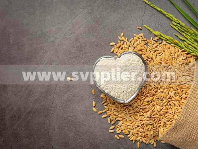 Svpplier - Potassium Health Benefits A Comprehensive Guide to Functions, Sources & Balance
