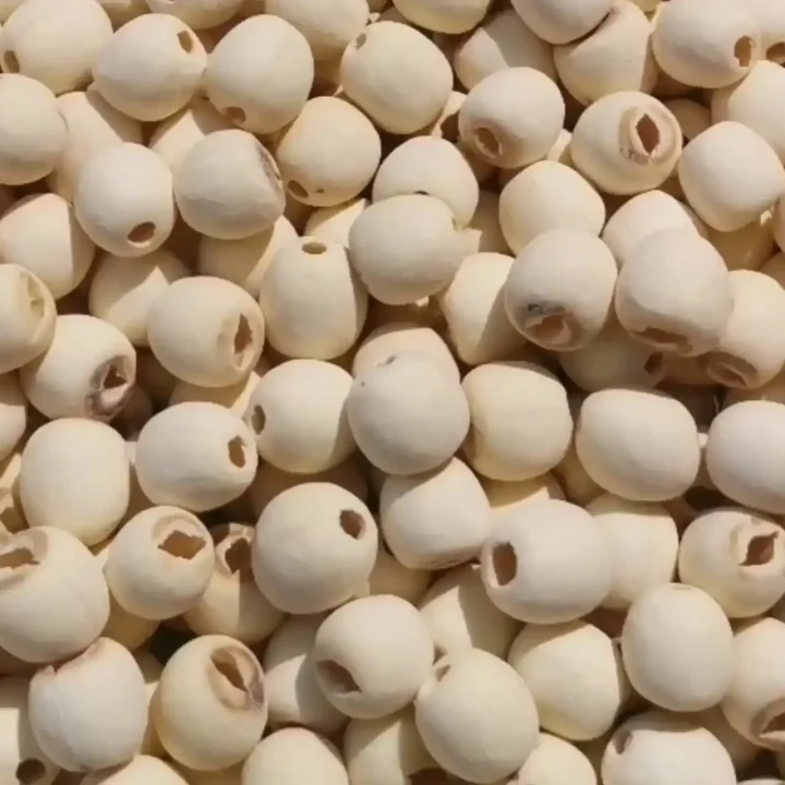 Svpplier White Lotus Seeds